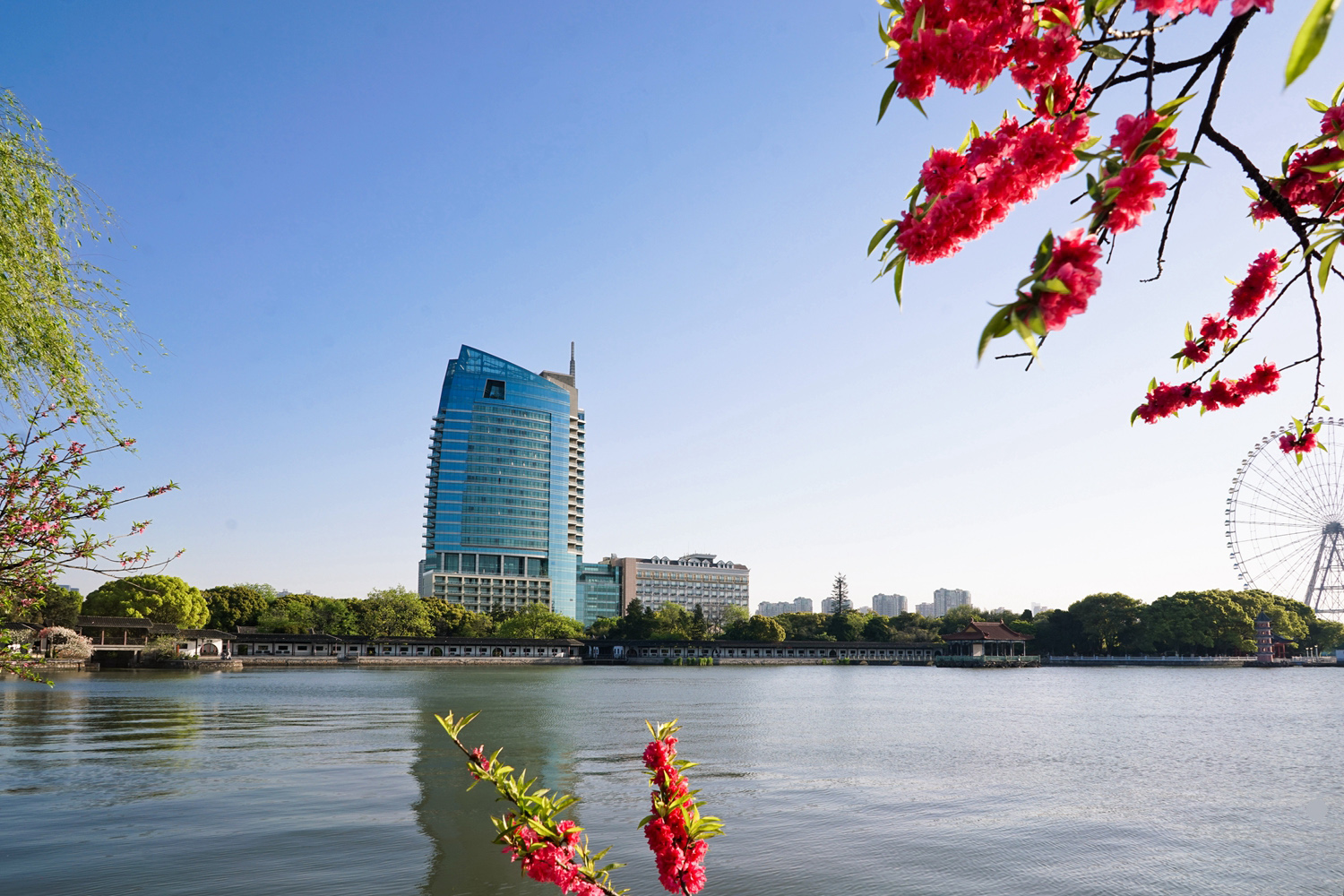 圖片.png 圖片.png